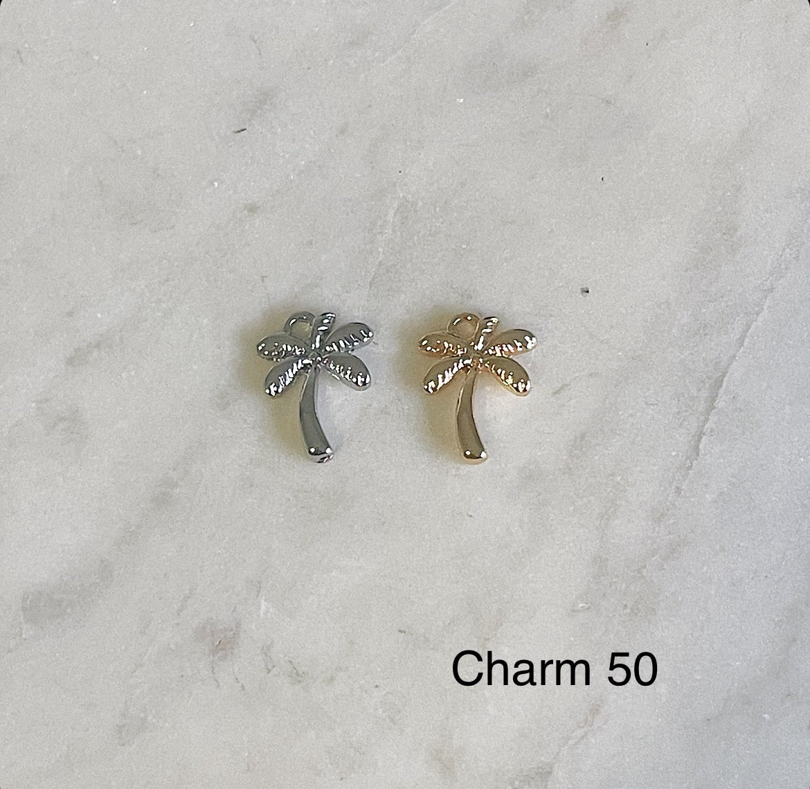 Dainty Charm Tag