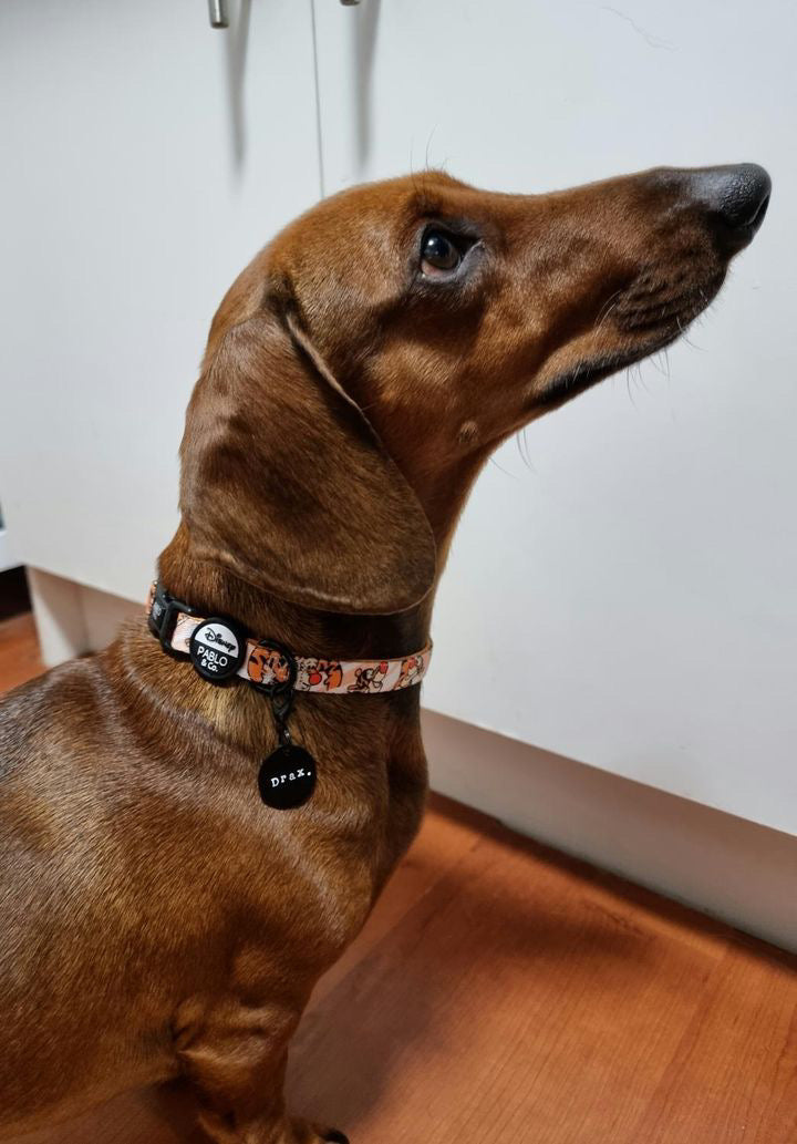 Welcome to the Barkside